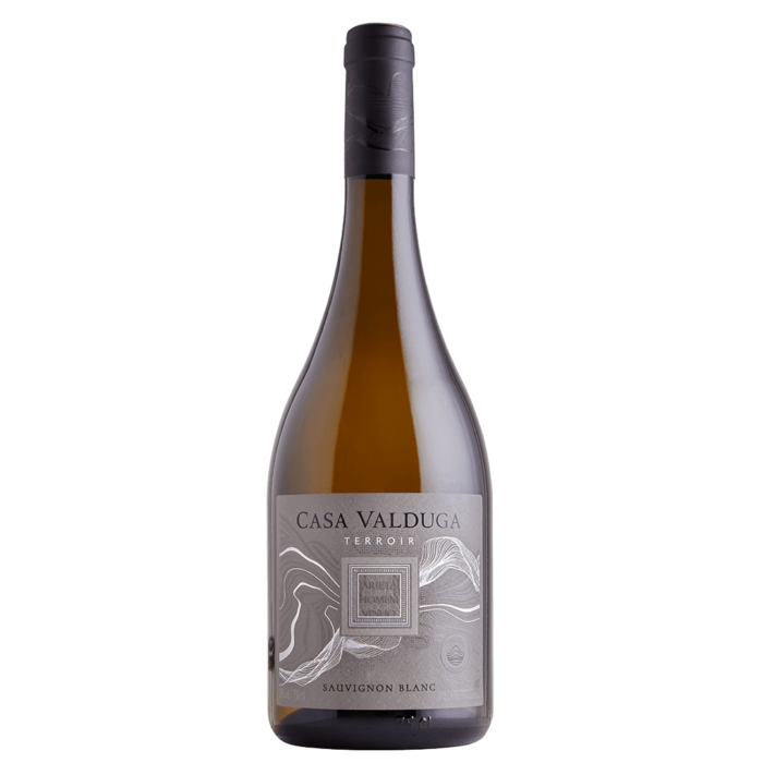 Terroir Sauvignon Blanc - Vinho Branco Seco