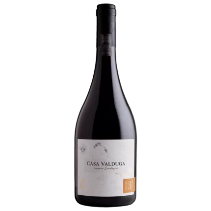 Terroir Exclusivo Syrah/Viognier - Tinto Seco - Edição Limitada